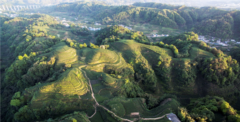 名山風(fēng)景.png